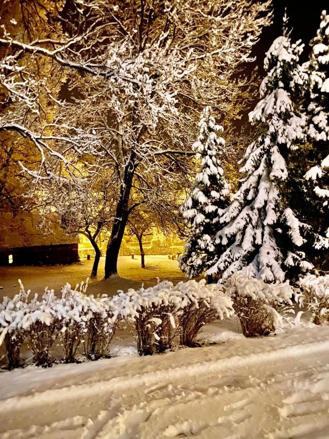 Hotel Jiricna Сушице Экстерьер фото